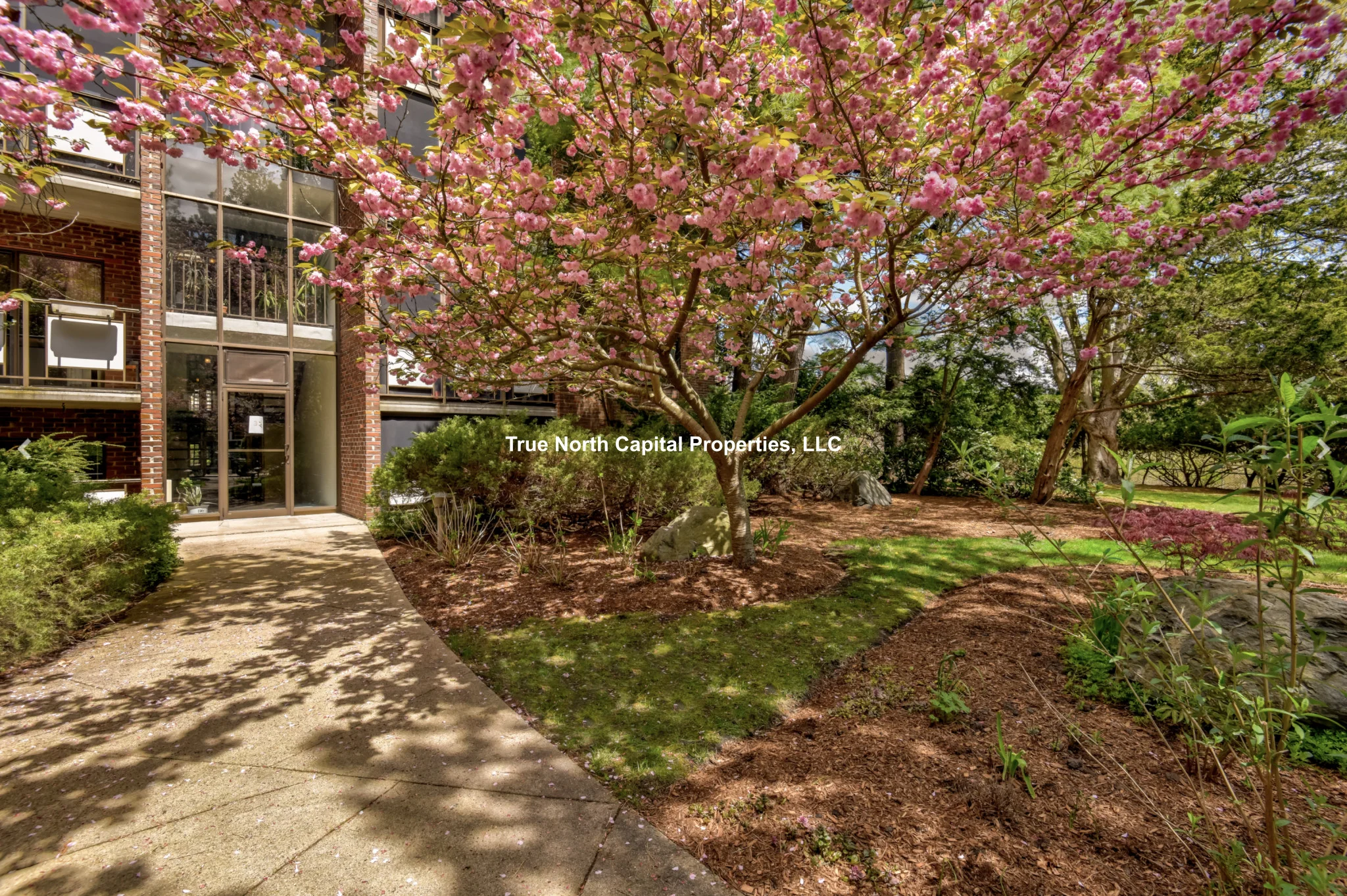 2 bed, 1.5 bath apartment for rent at 30 Normandy Ave Unit 212, Cambridge Highlands — photo 10 of 10
