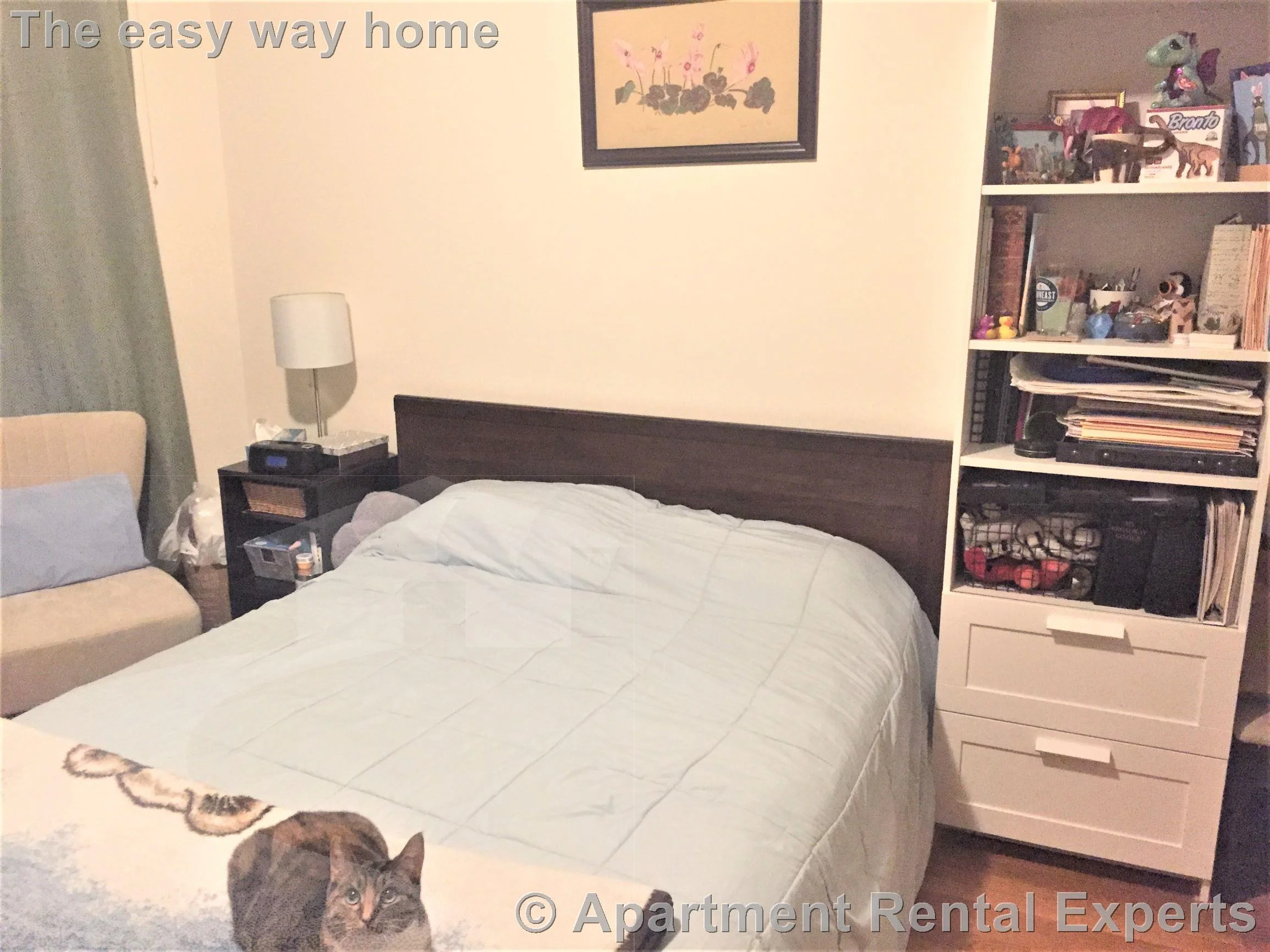 2 bed, 1 bath apartment for rent at 30 Prichard Ave Unit 2, Davis Square — photo 4 of 16