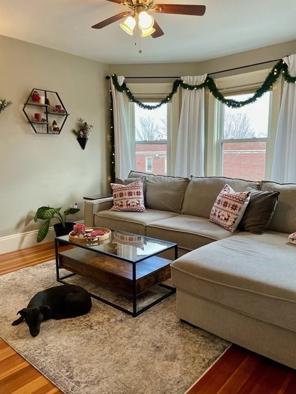 3 bed, 1 bath apartment for rent at 30 Tuttle St Unit 3, Dorchester — photo 17 of 30