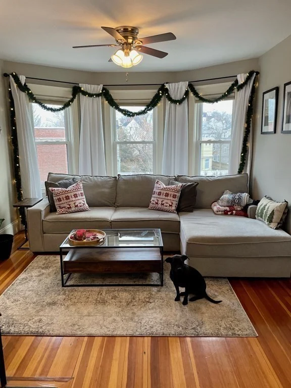 3 bed, 1 bath apartment for rent at 30 Tuttle St Unit 3, Dorchester — photo 18 of 30