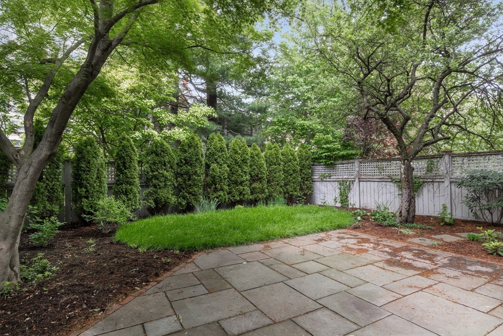 4 bed, 2 bath apartment for rent at 30 Walker St, Cambridge — photo 20 of 20