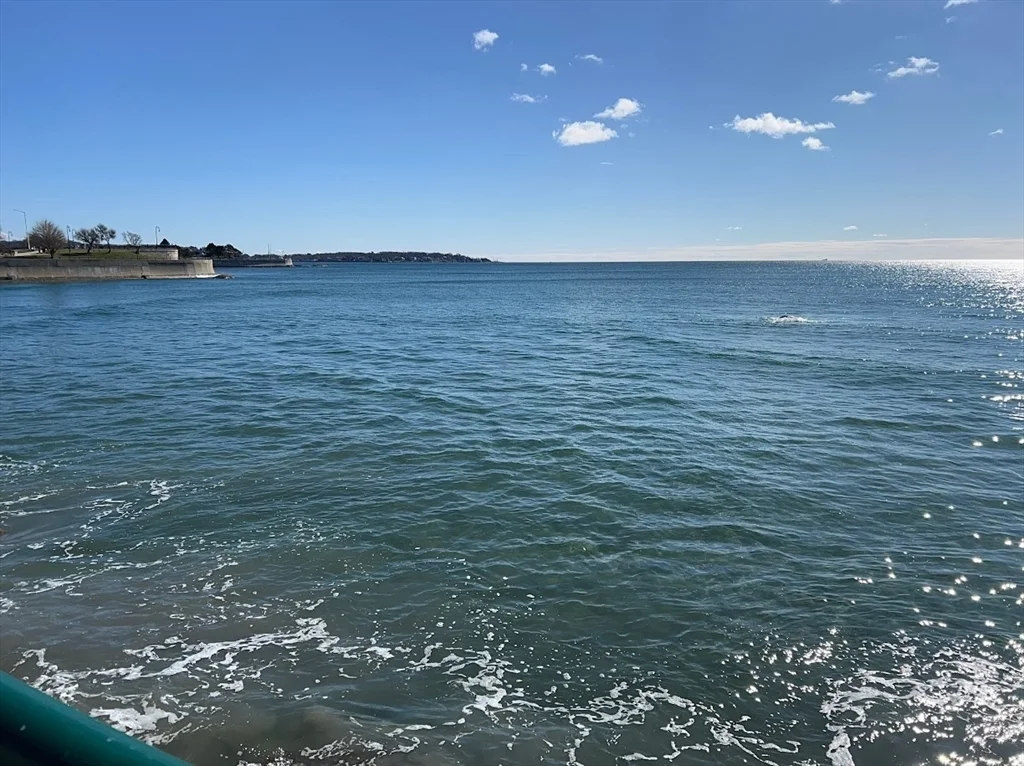 2 bed, 2 bath apartment for rent at 300 Lynn Shore Dr Unit 802, Lynn — photo 3 of 29