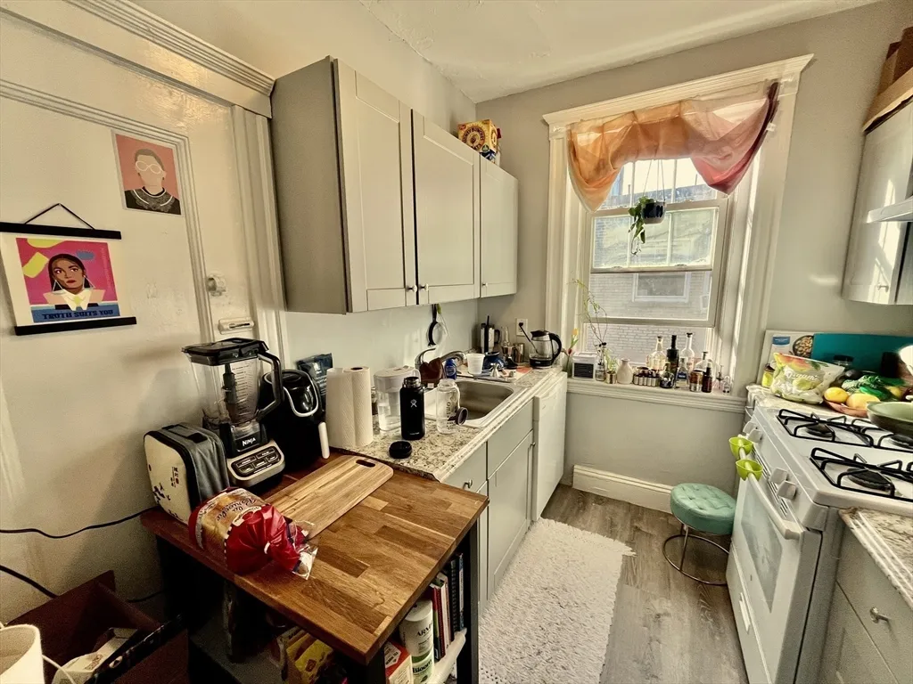 1 bed, 1 bath apartment for rent at 301 Allston St Unit 15, Brighton — photo 7 of 12