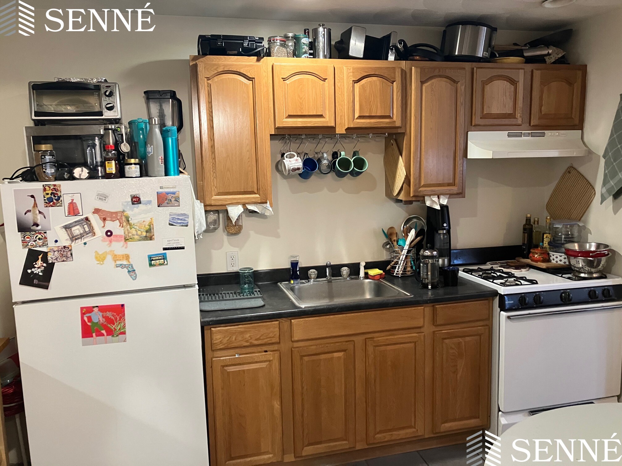 1 bed, 1 bath apartment for rent at 302 Highland Ave Unit 302, Spring Hill — photo 1 of 10