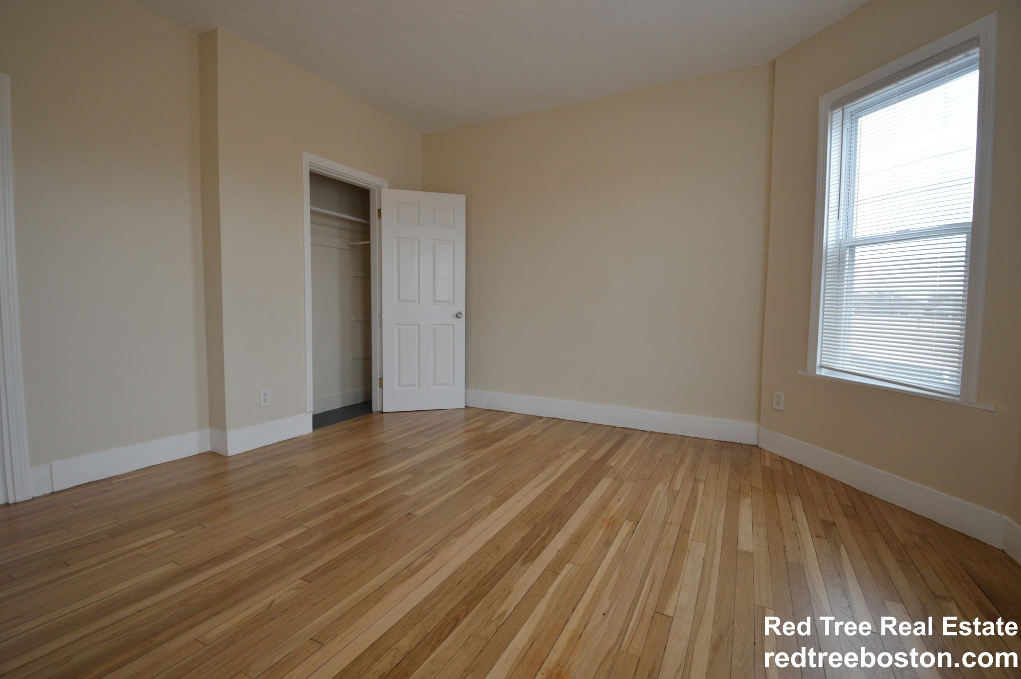 1 bed, 1 bath apartment for rent at 303 Hancock St Unit 1, Dorchester — photo 7 of 10