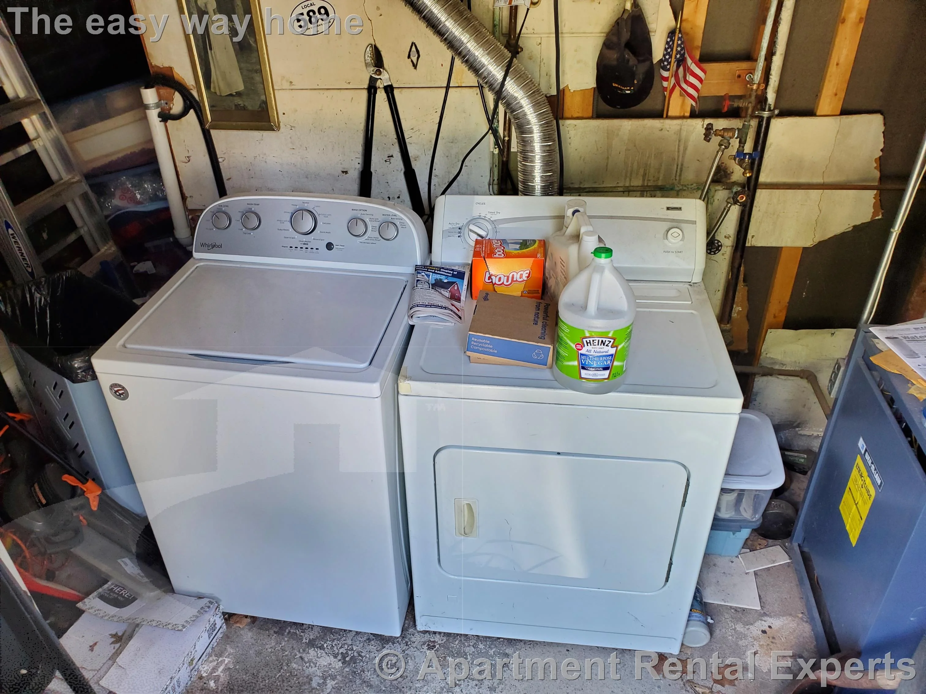 1 bed, 1 bath apartment for rent at 305 Rindge Ave Unit B, North Cambridge — photo 6 of 7