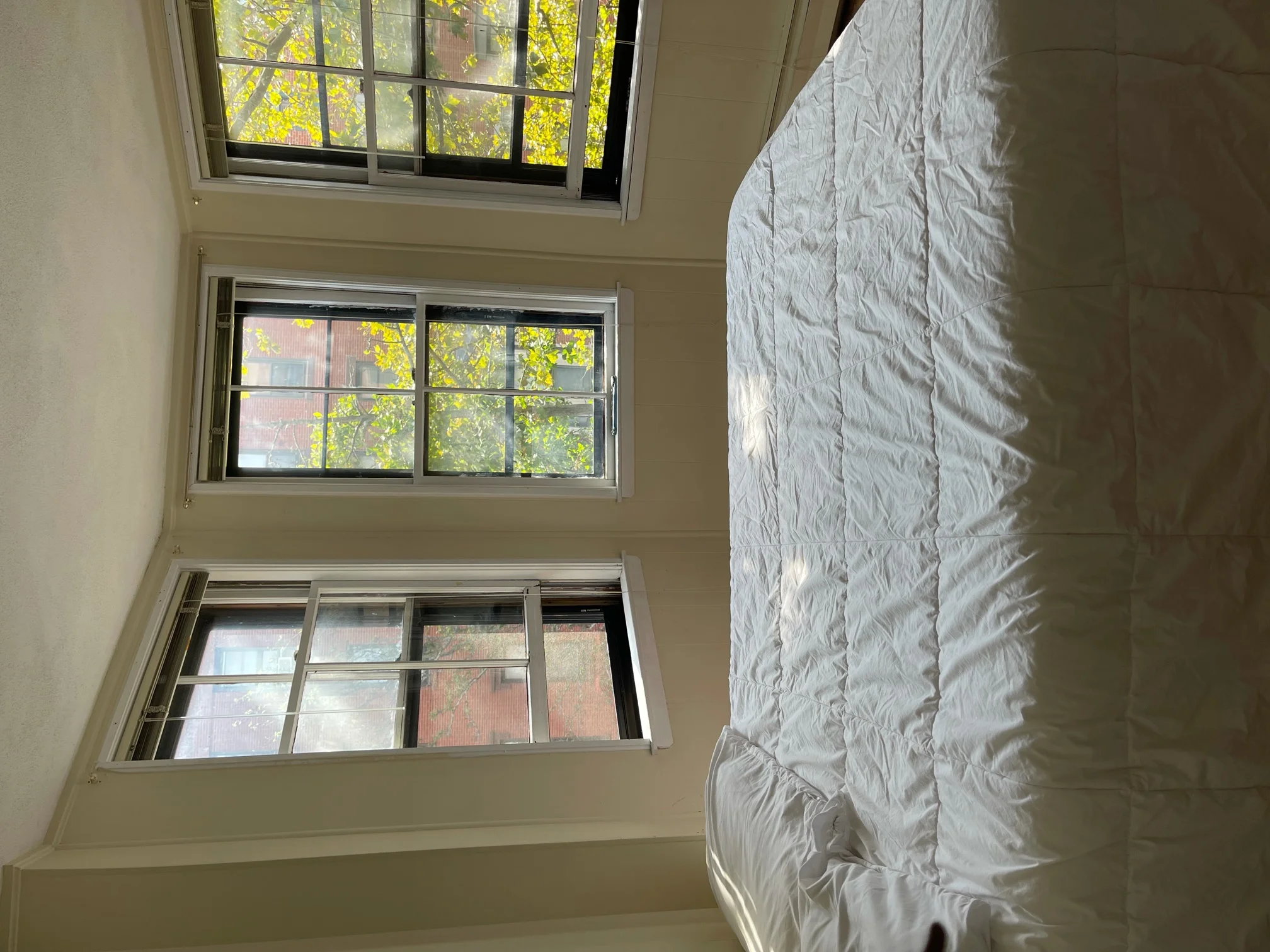 2 bed, 1 bath apartment for rent at 305 Shawmut Ave Unit 4, South End — photo 10 of 12