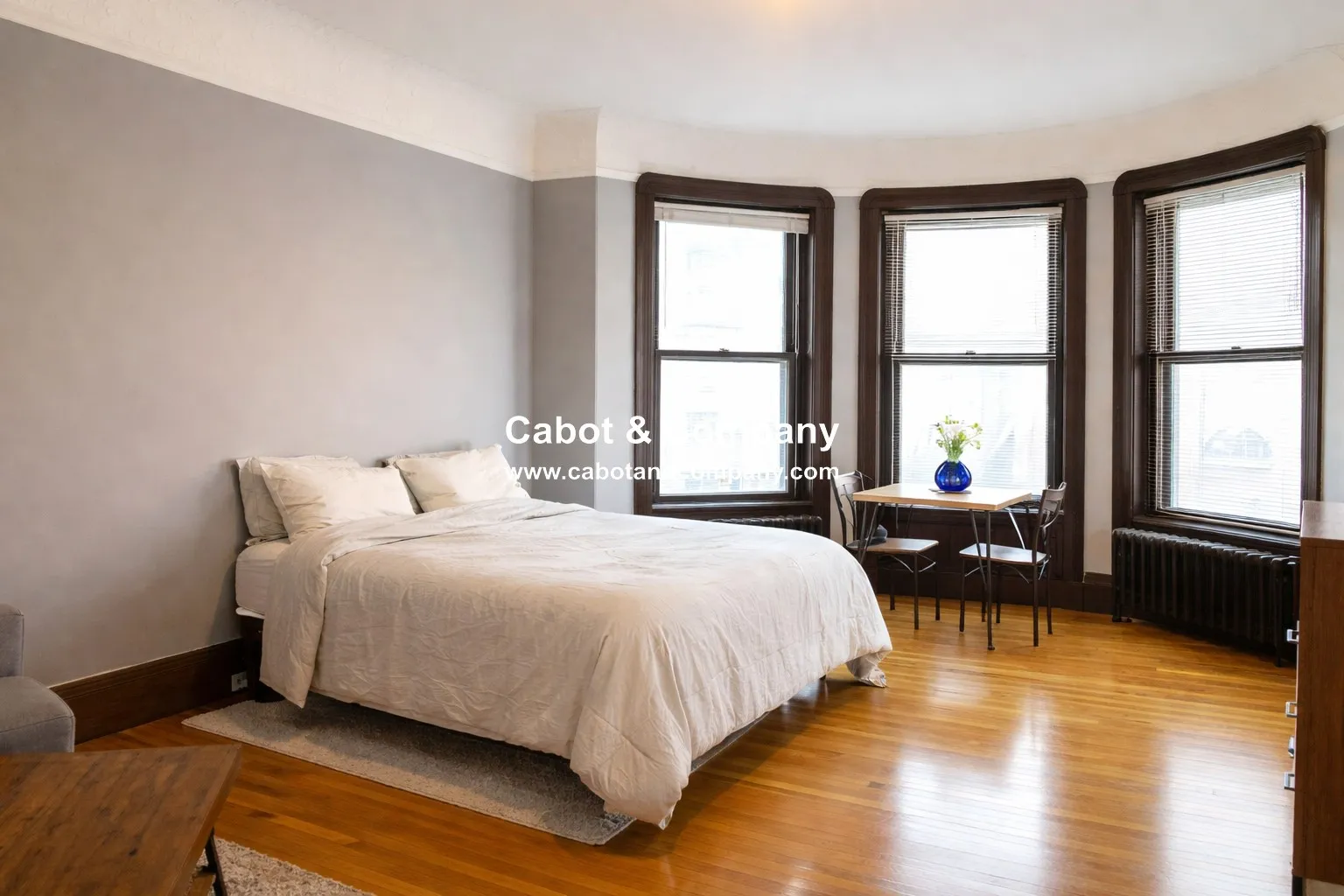 Studio bed, 1 bath apartment for rent at 306 Newbury St Unit 2F, Back Bay