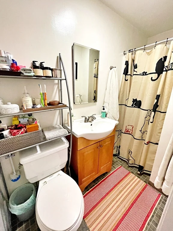 1 bed, 1 bath apartment for rent at 307 Sumner St Unit 3, East Boston — photo 10 of 11