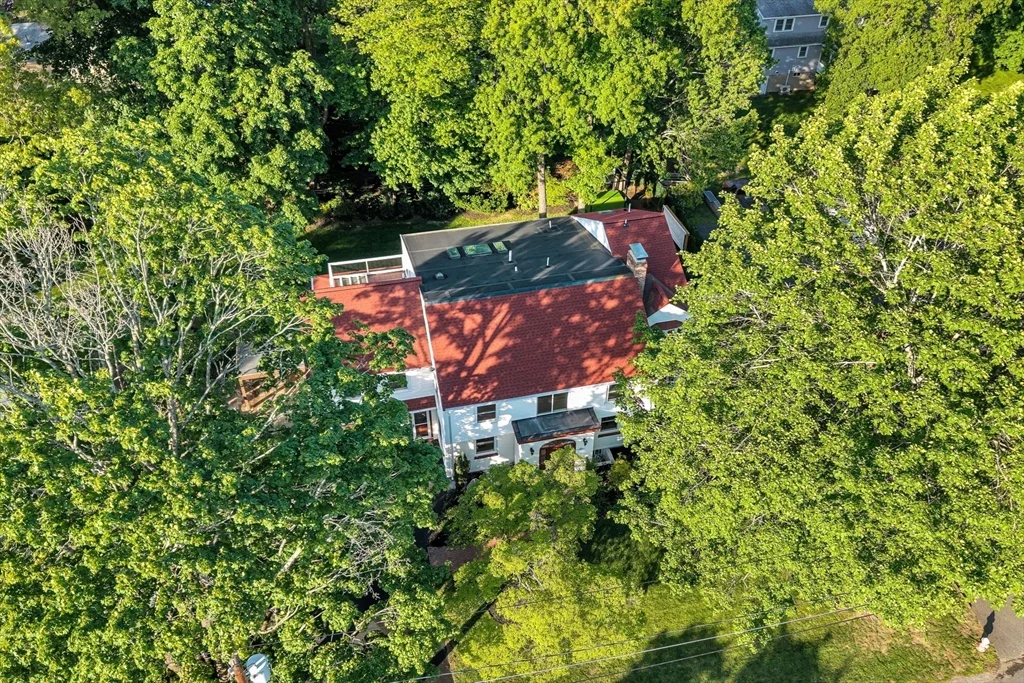 5 bed, 4+ bath apartment for rent at 31 Alba Rd, Wellesley — photo 1 of 32