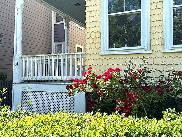 1 bed, 1 bath apartment for rent at 31 Forrester St Unit 1, Glenwood — photo 18 of 19