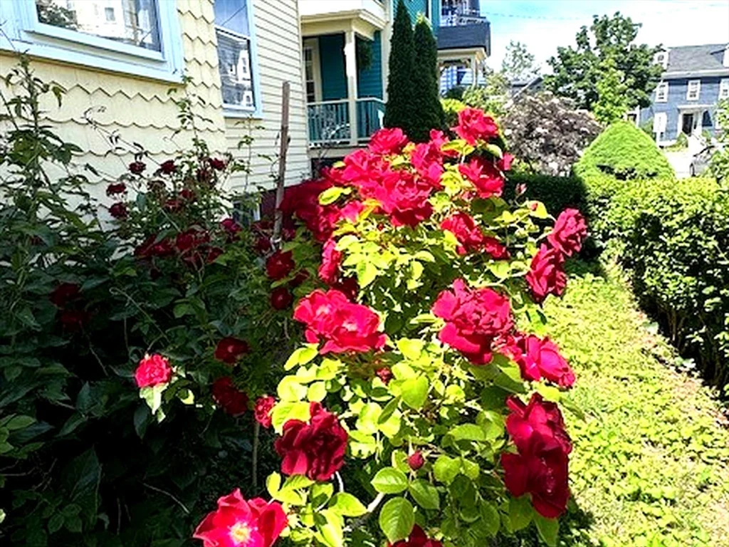 1 bed, 1 bath apartment for rent at 31 Forrester St Unit 1, Glenwood — photo 16 of 19