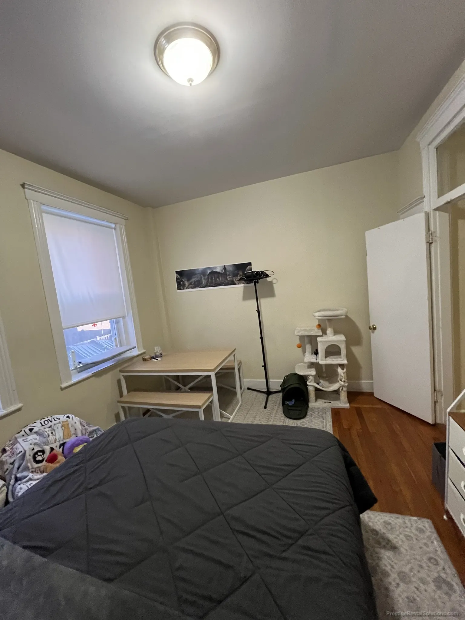 Studio bed, 1 bath apartment for rent at 31 Gardner St Unit 5, Allston — photo 8 of 11