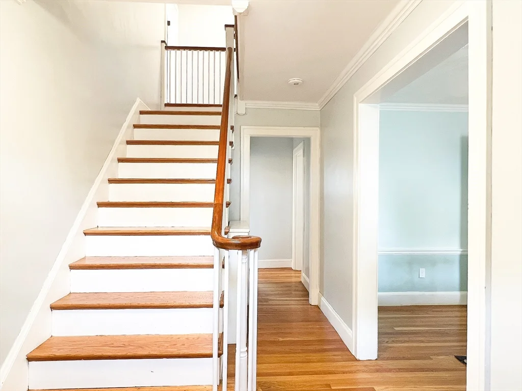 4 bed, 2 bath apartment for rent at 31 Grassmere Rd Unit -, Chestnut Hill — photo 9 of 24