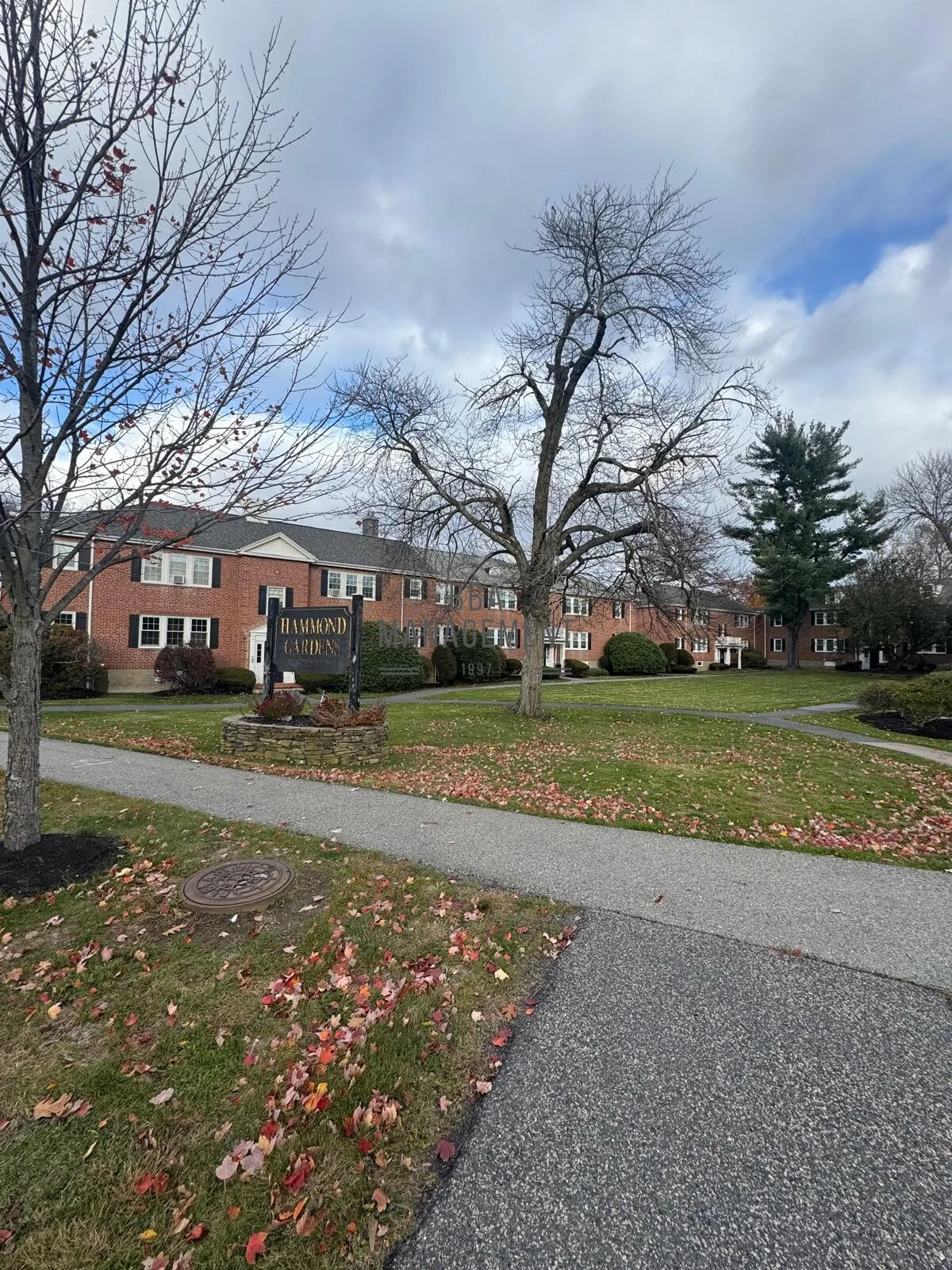 2 bed, 1 bath apartment for rent at 31 Hammond Pond Pkwa Unit 2, Chestnut Hill — photo 11 of 15