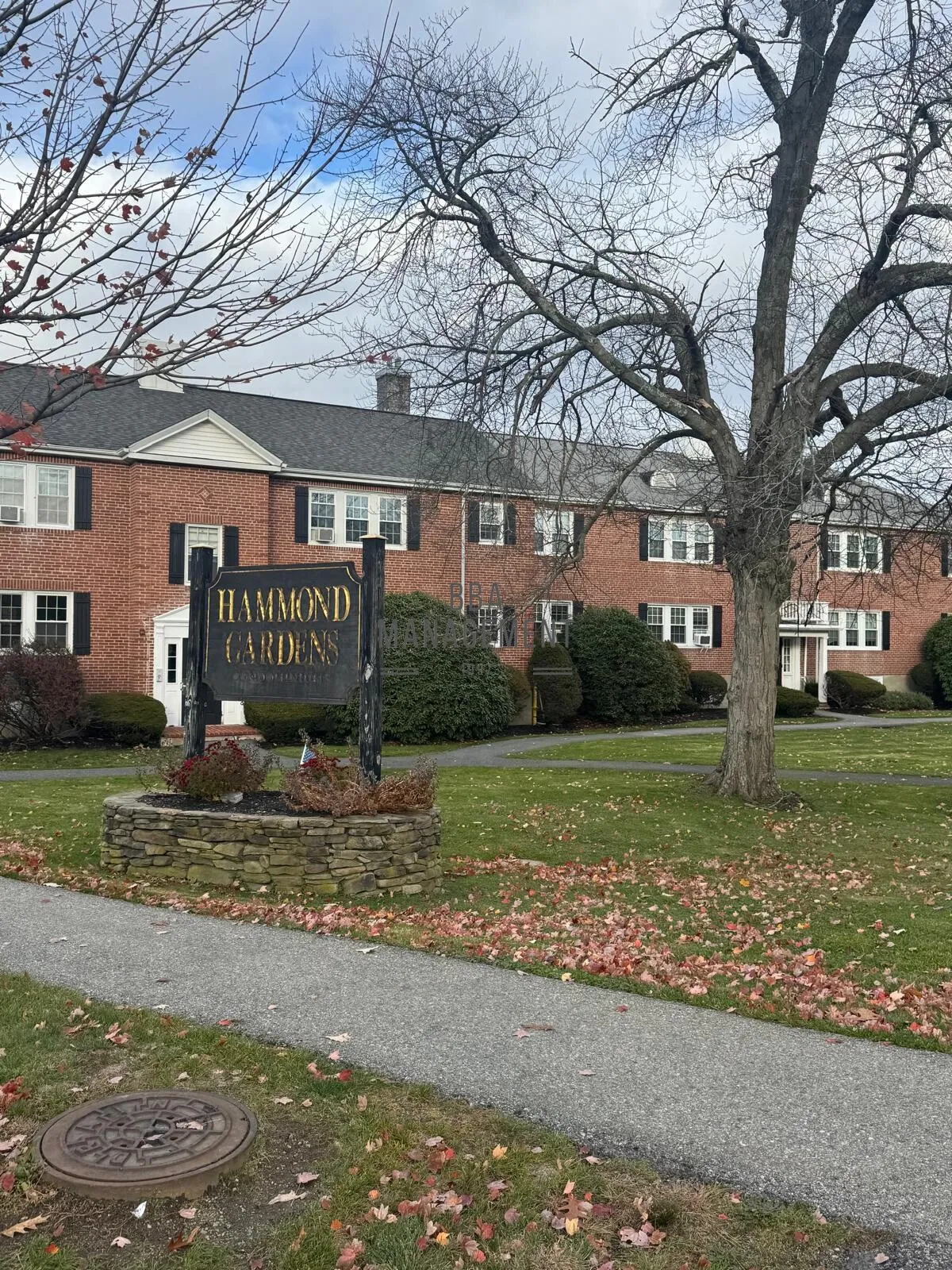 2 bed, 1 bath apartment for rent at 31 Hammond Pond Pkwa Unit 2, Chestnut Hill — photo 10 of 15