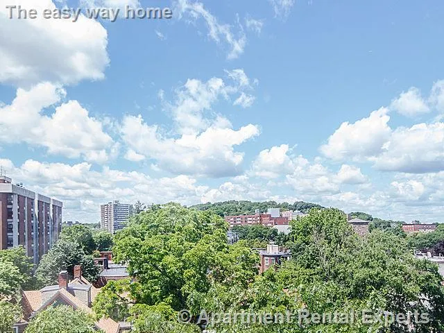 1 bed, 1 bath apartment for rent at 31 Harris St Unit 702, Other — photo 18 of 25