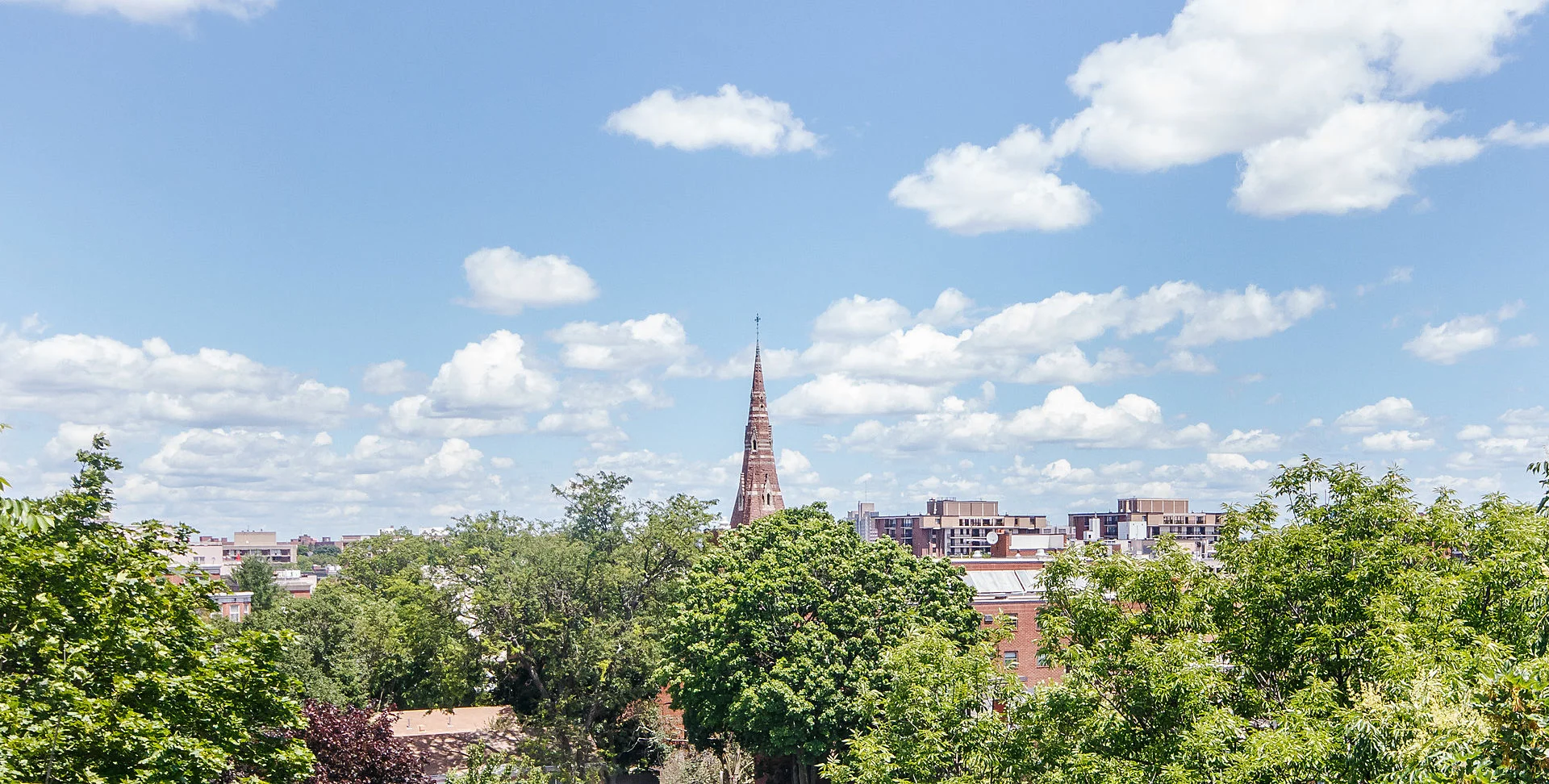 1 bed, 1.5 bath apartment for rent at 31 Harris St Unit 702A, Coolidge Corner — photo 14 of 15