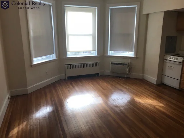 1 bed, 1 bath apartment for rent at 31 Lancaster Ter Unit 309, Corey Hill — photo 13 of 22