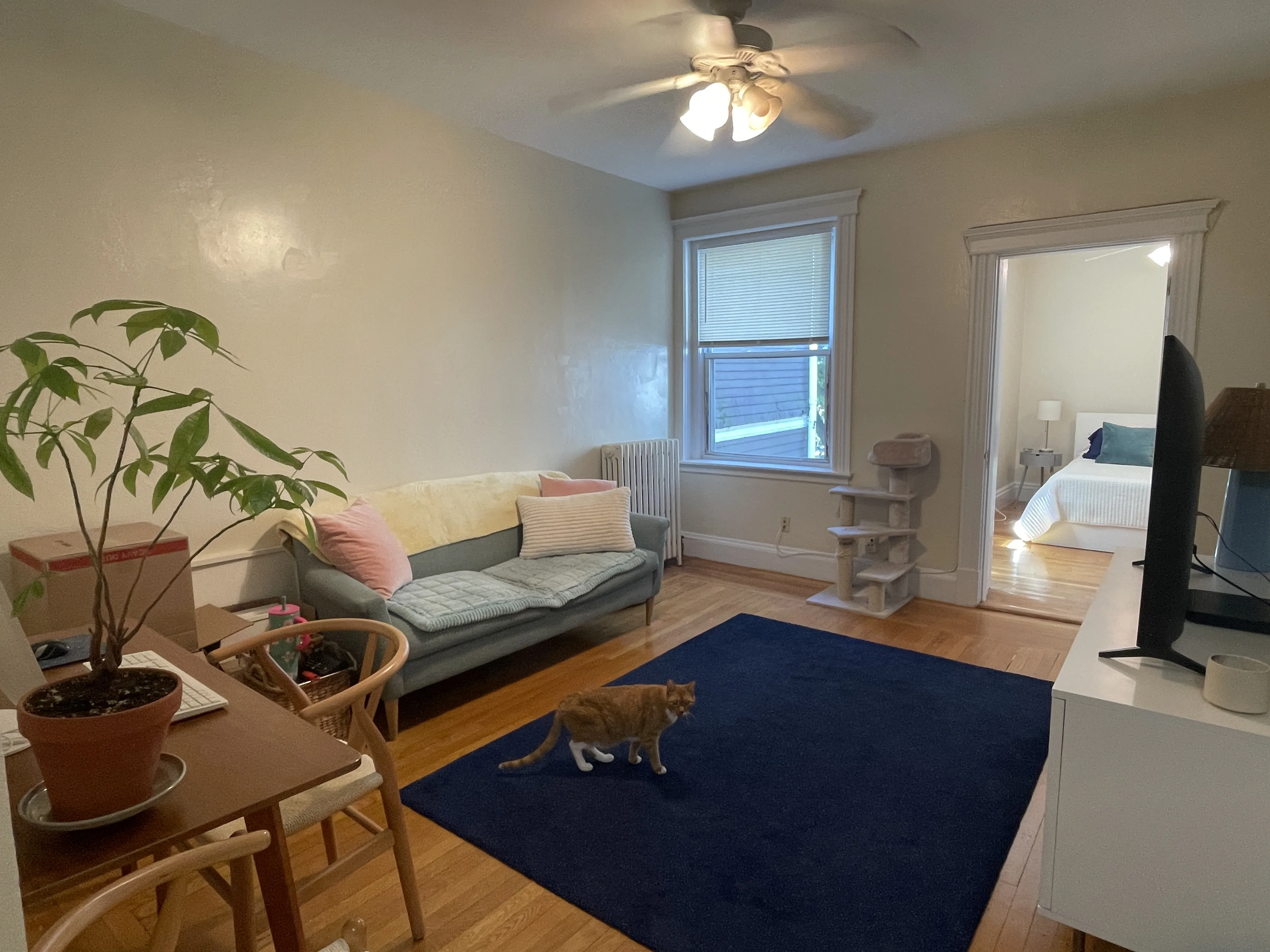1 bed, 1 bath apartment for rent at 31 Littell Rd Unit 6, Coolidge Corner — photo 2 of 11