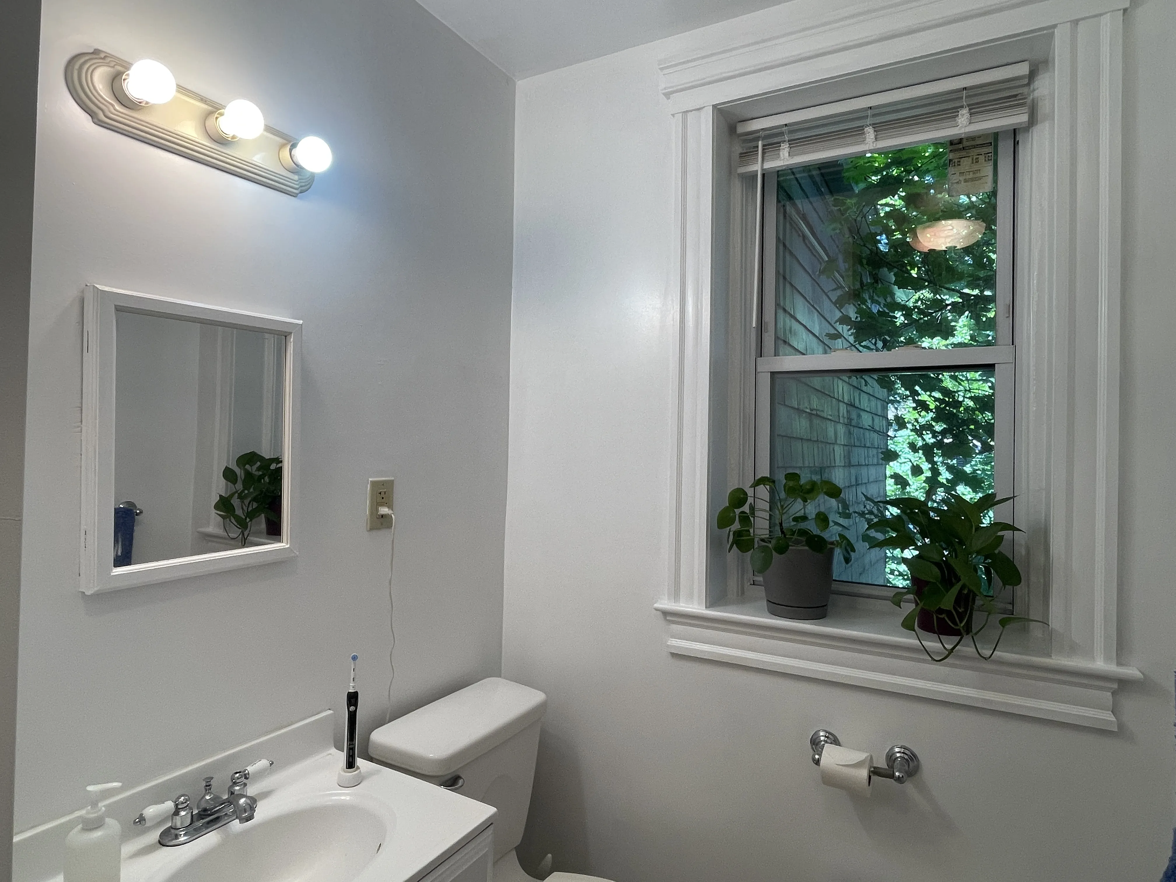 1 bed, 1 bath apartment for rent at 31 Littell Rd Unit 6, Coolidge Corner — photo 7 of 11