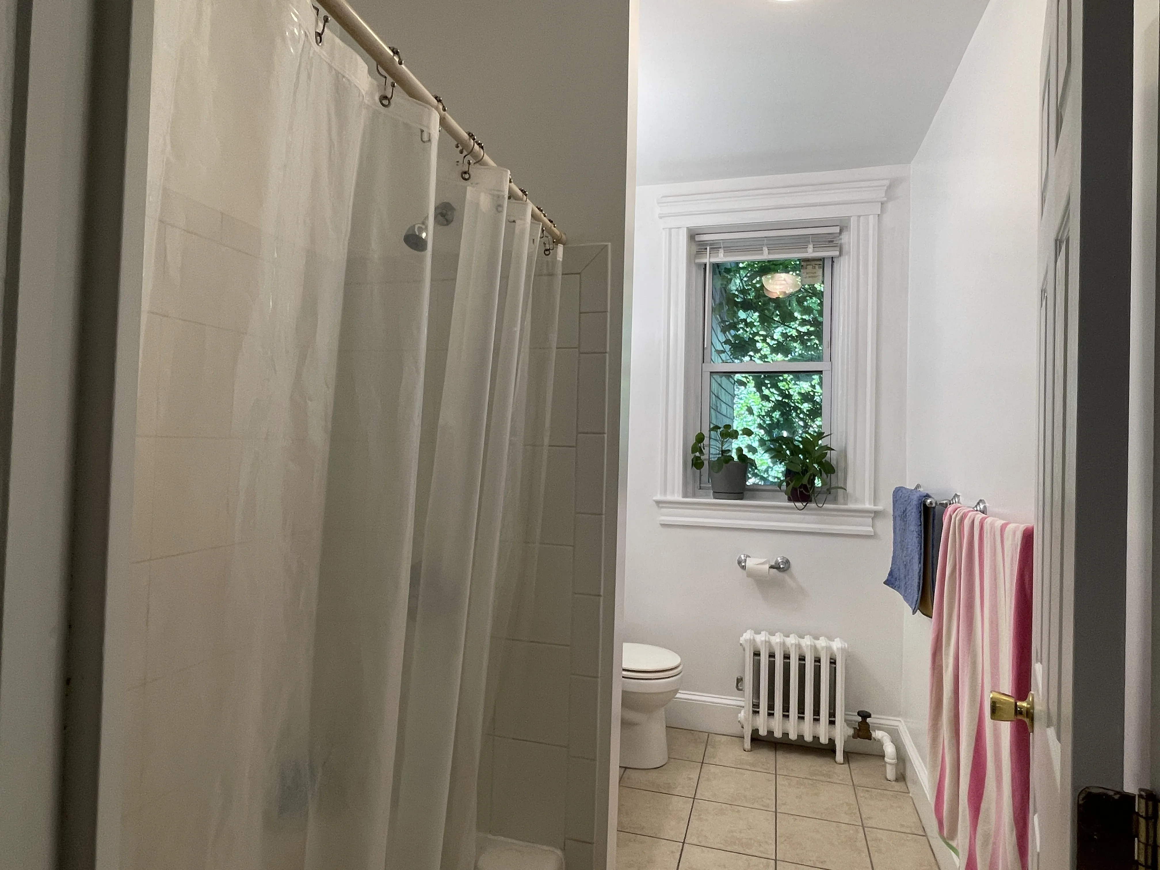 1 bed, 1 bath apartment for rent at 31 Littell Rd Unit 6, Coolidge Corner — photo 6 of 11