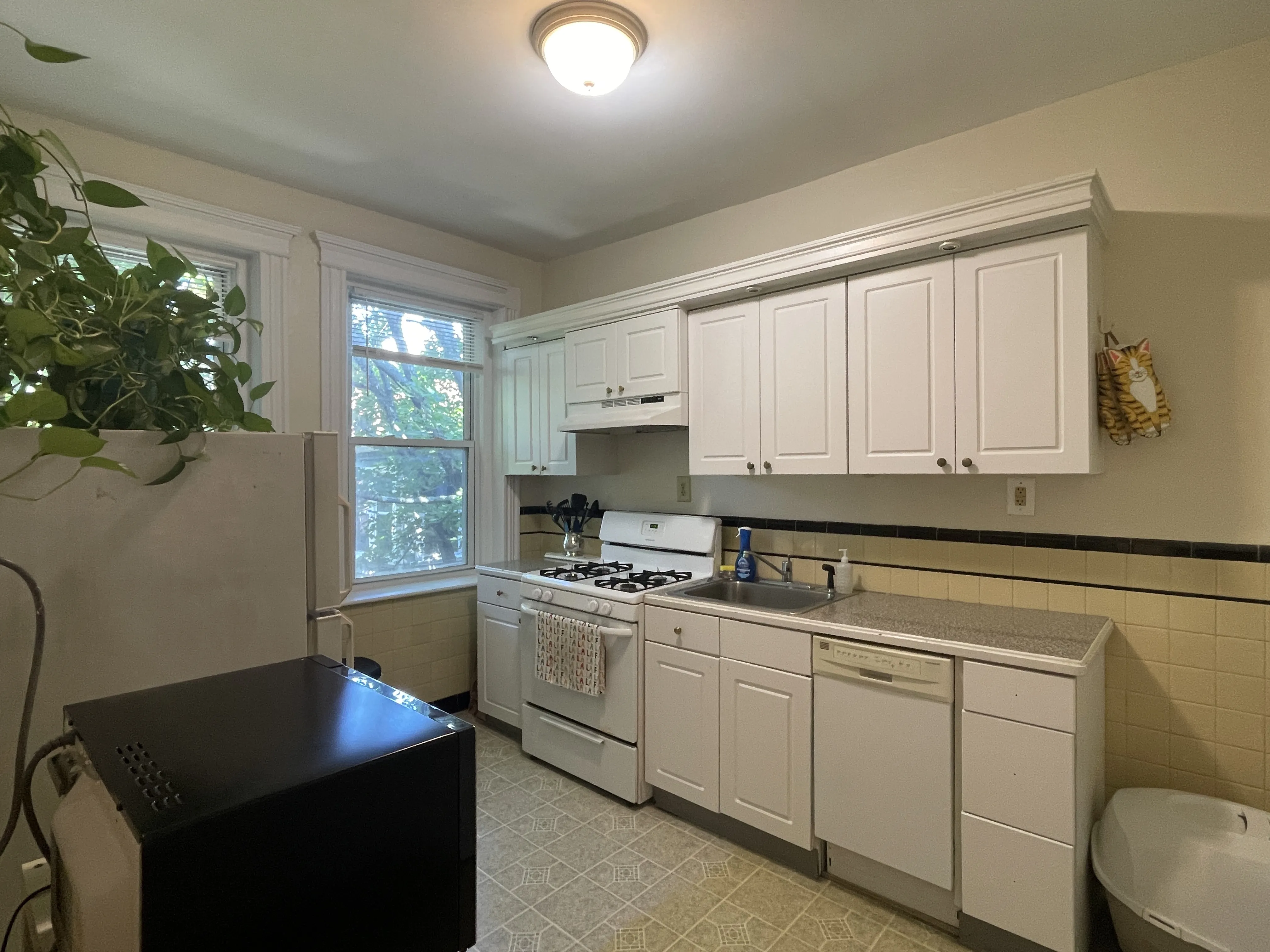 1 bed, 1 bath apartment for rent at 31 Littell Rd Unit 6, Coolidge Corner — photo 4 of 11