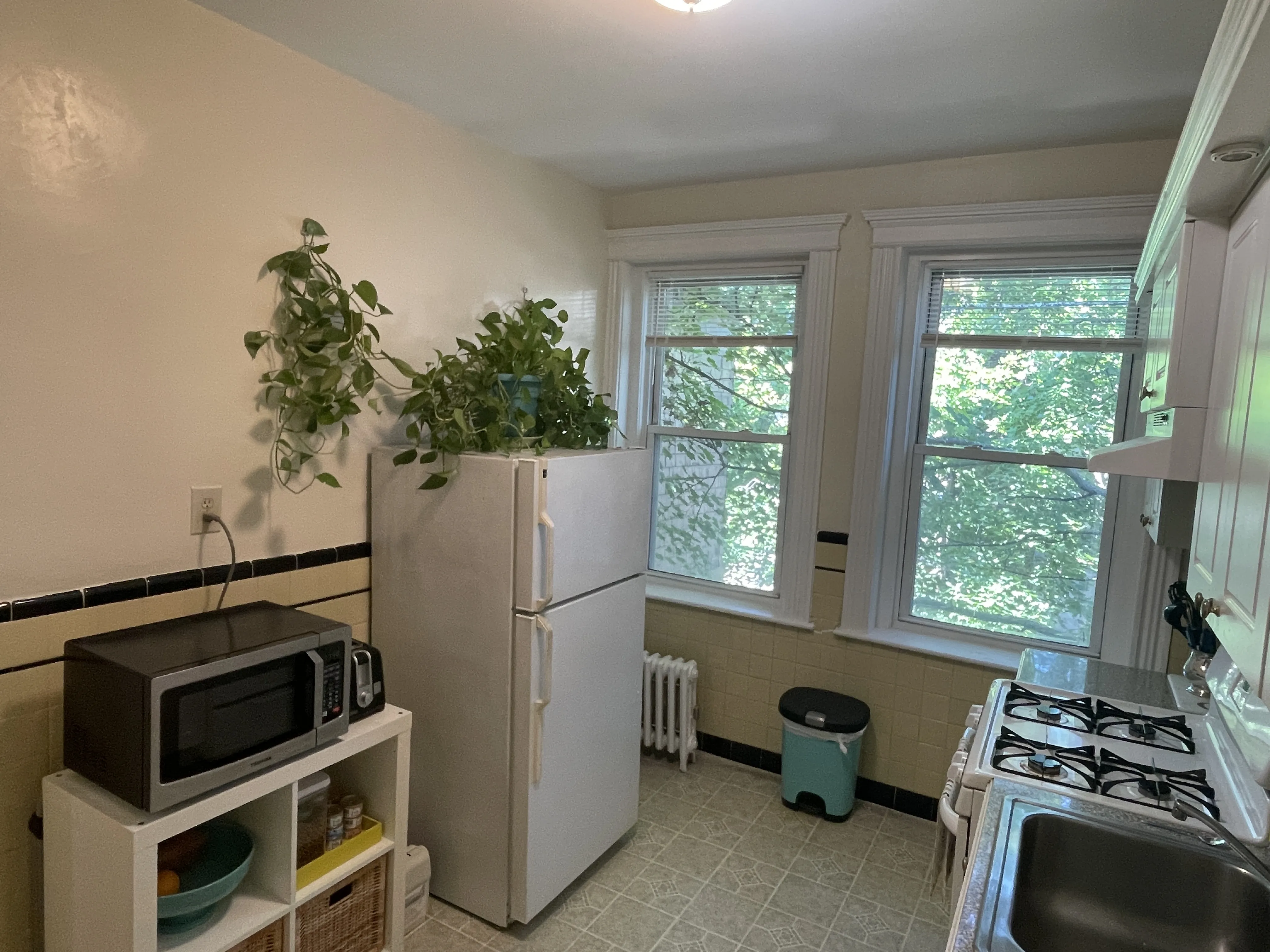 1 bed, 1 bath apartment for rent at 31 Littell Rd Unit 6, Coolidge Corner — photo 5 of 11