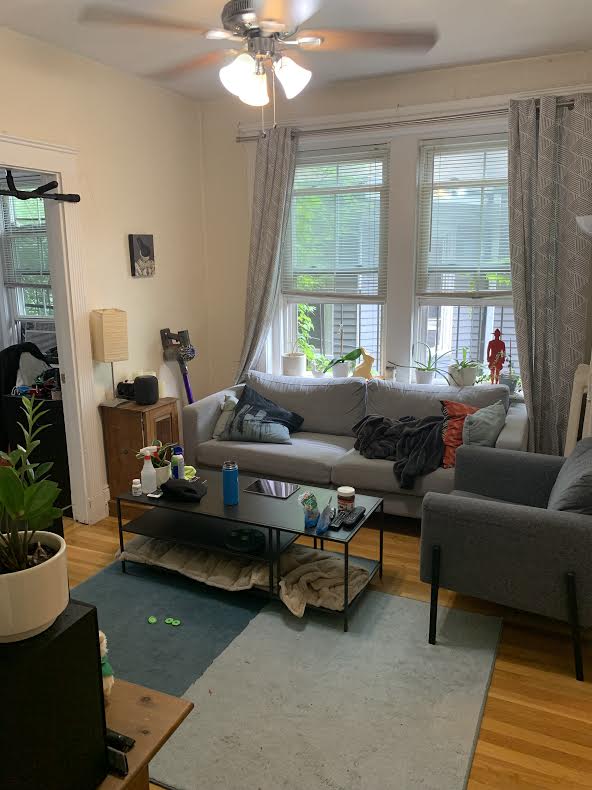 1 bed, 1 bath apartment for rent at 31 Orkney Rd Unit 22, Brighton — photo 1 of 10