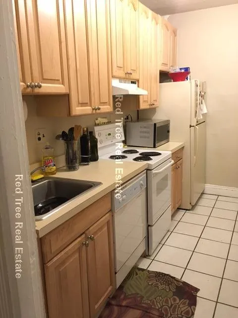 1 bed, 1 bath apartment for rent at 31 Orkney Rd Unit 56, Brighton — photo 19 of 33