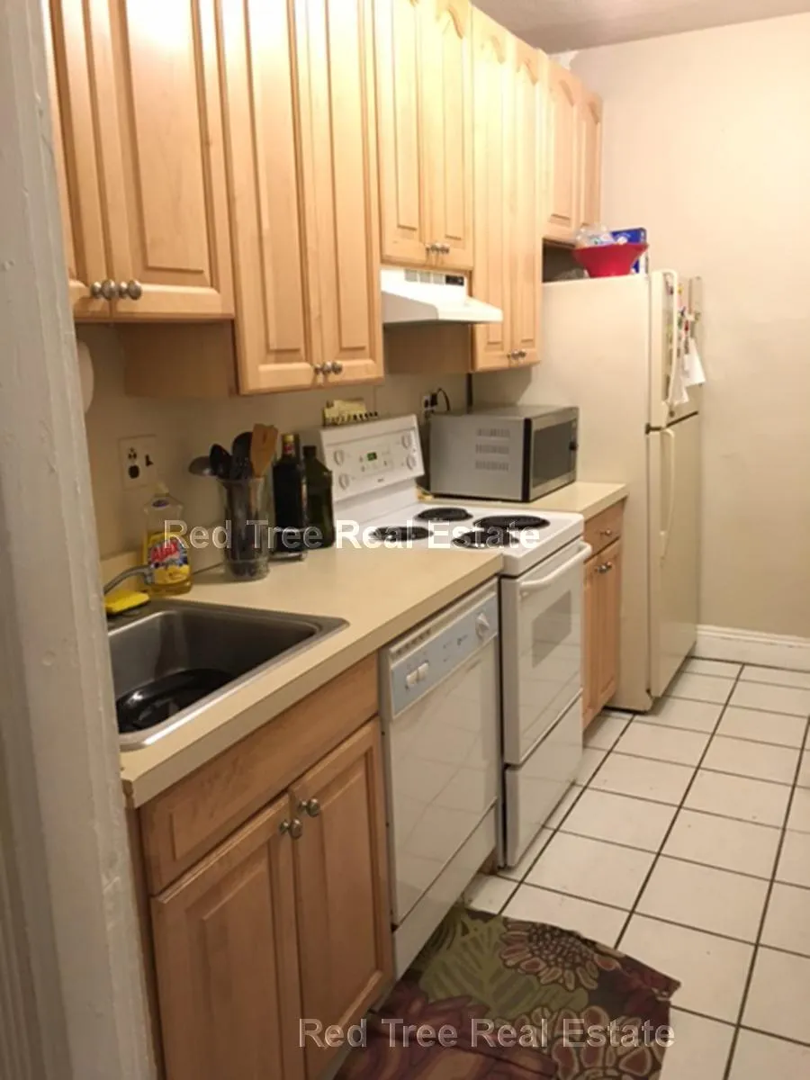 1 bed, 1 bath apartment for rent at 31 Orkney Rd Unit 56, Brighton — photo 31 of 33