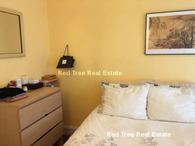1 bed, 1 bath apartment for rent at 31 Orkney Rd Unit 56, Brighton — photo 17 of 33