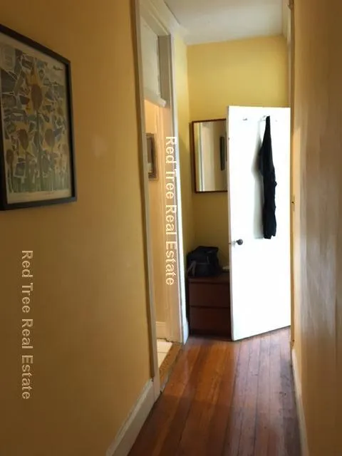 1 bed, 1 bath apartment for rent at 31 Orkney Rd Unit 56, Brighton — photo 12 of 33