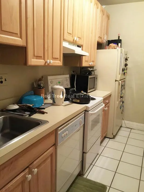 1 bed, 1 bath apartment for rent at 31 Orkney Rd Unit 56, Brighton — photo 3 of 33