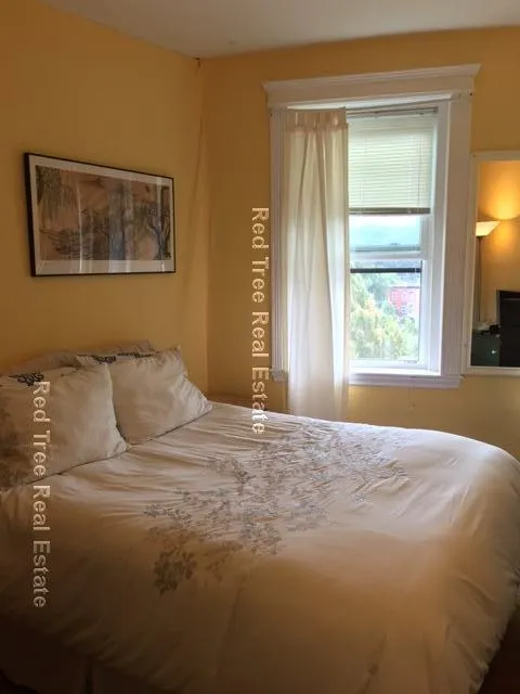 1 bed, 1 bath apartment for rent at 31 Orkney Rd Unit 56, Brighton — photo 21 of 33