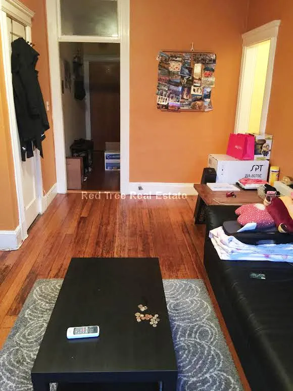 1 bed, 1 bath apartment for rent at 31 Orkney Rd Unit 56, Brighton — photo 7 of 33