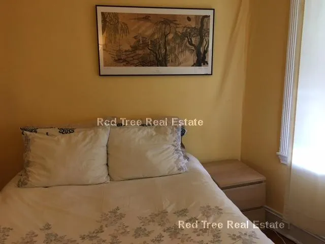 1 bed, 1 bath apartment for rent at 31 Orkney Rd Unit 56, Brighton — photo 18 of 33