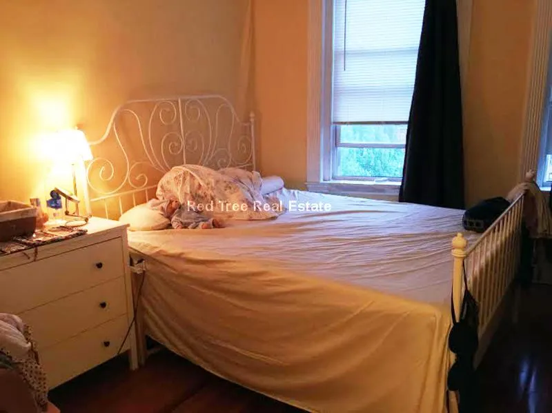 1 bed, 1 bath apartment for rent at 31 Orkney Rd Unit 56, Brighton — photo 8 of 33
