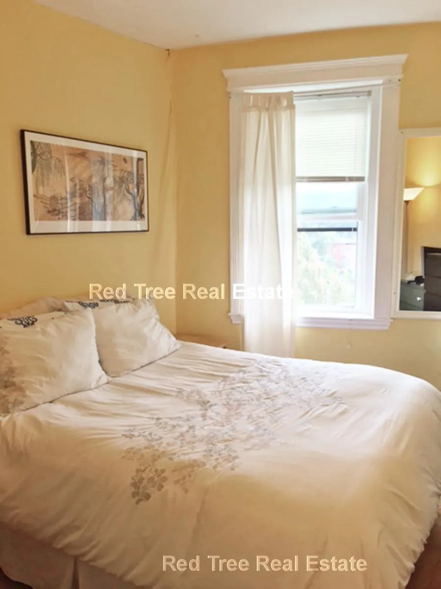 1 bed, 1 bath apartment for rent at 31 Orkney Rd Unit 56, Brighton — photo 27 of 33