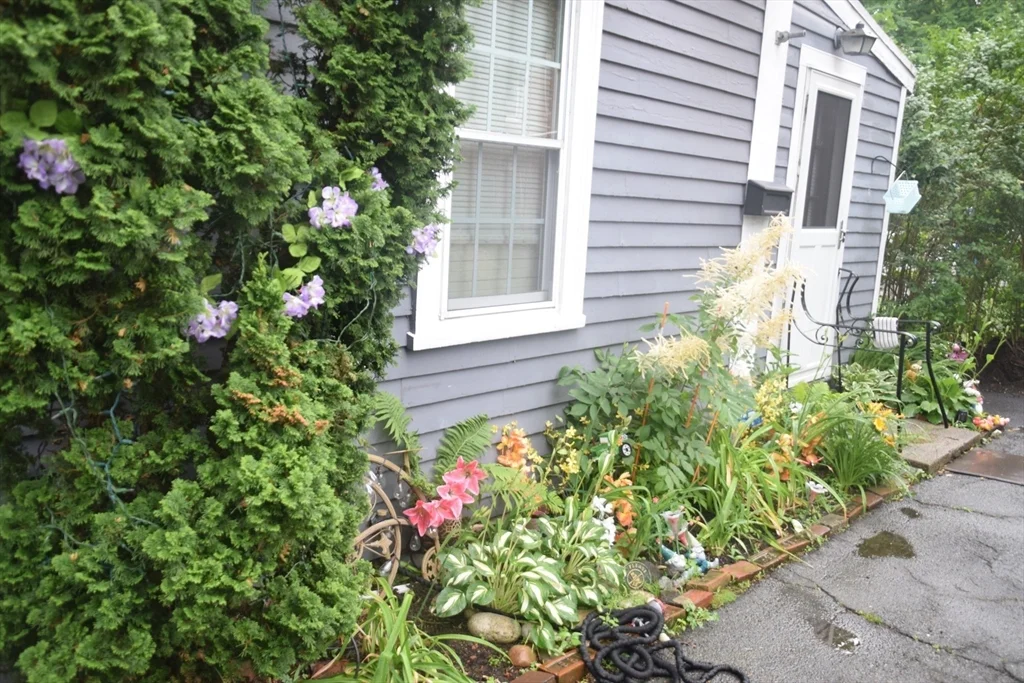 1 bed, 1 bath apartment for rent at 31 Prospect St Unit 3, Marblehead — photo 22 of 23