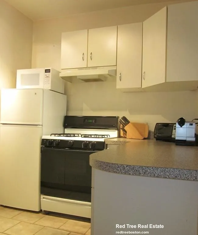 1 bed, 1 bath apartment for rent at 31 Queensberry St Unit 10, Fenway — photo 6 of 14