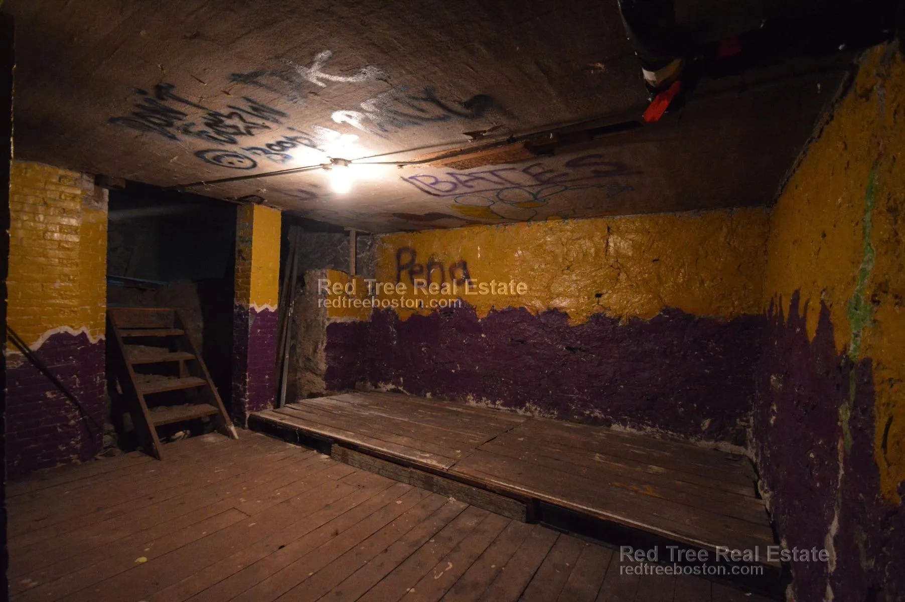 6 bed, 2.5 bath apartment for rent at 31 Quint Ave Unit House, Brighton — photo 5 of 19