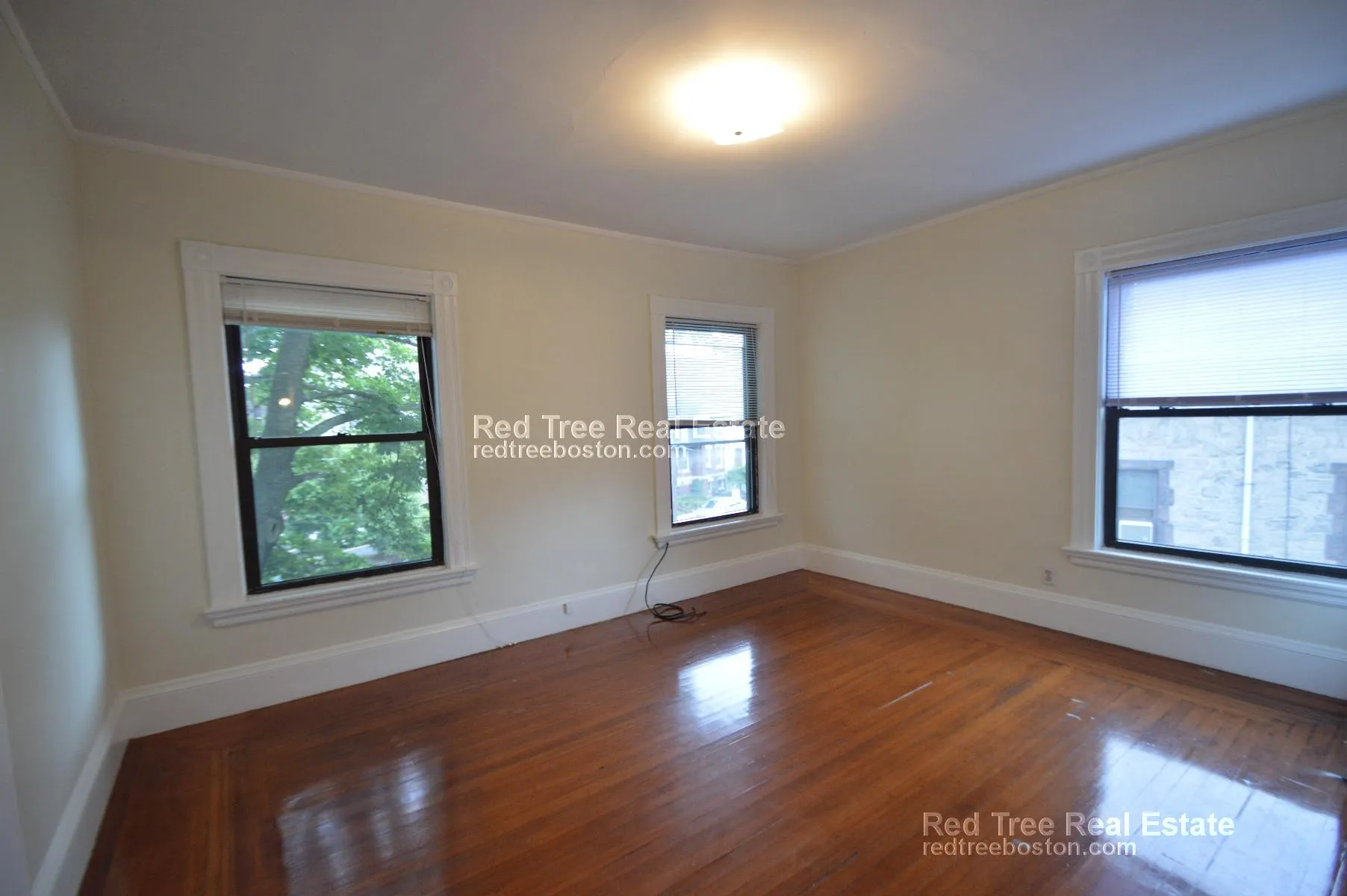 6 bed, 2.5 bath apartment for rent at 31 Quint Ave Unit House, Brighton — photo 1 of 19