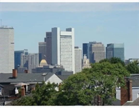 2 bed, 1 bath apartment for rent at 31 Story St Unit 3, South Boston — photo 16 of 17