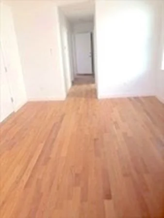 2 bed, 1 bath apartment for rent at 312 Chelsea St Unit 3, East Boston — photo 3 of 9