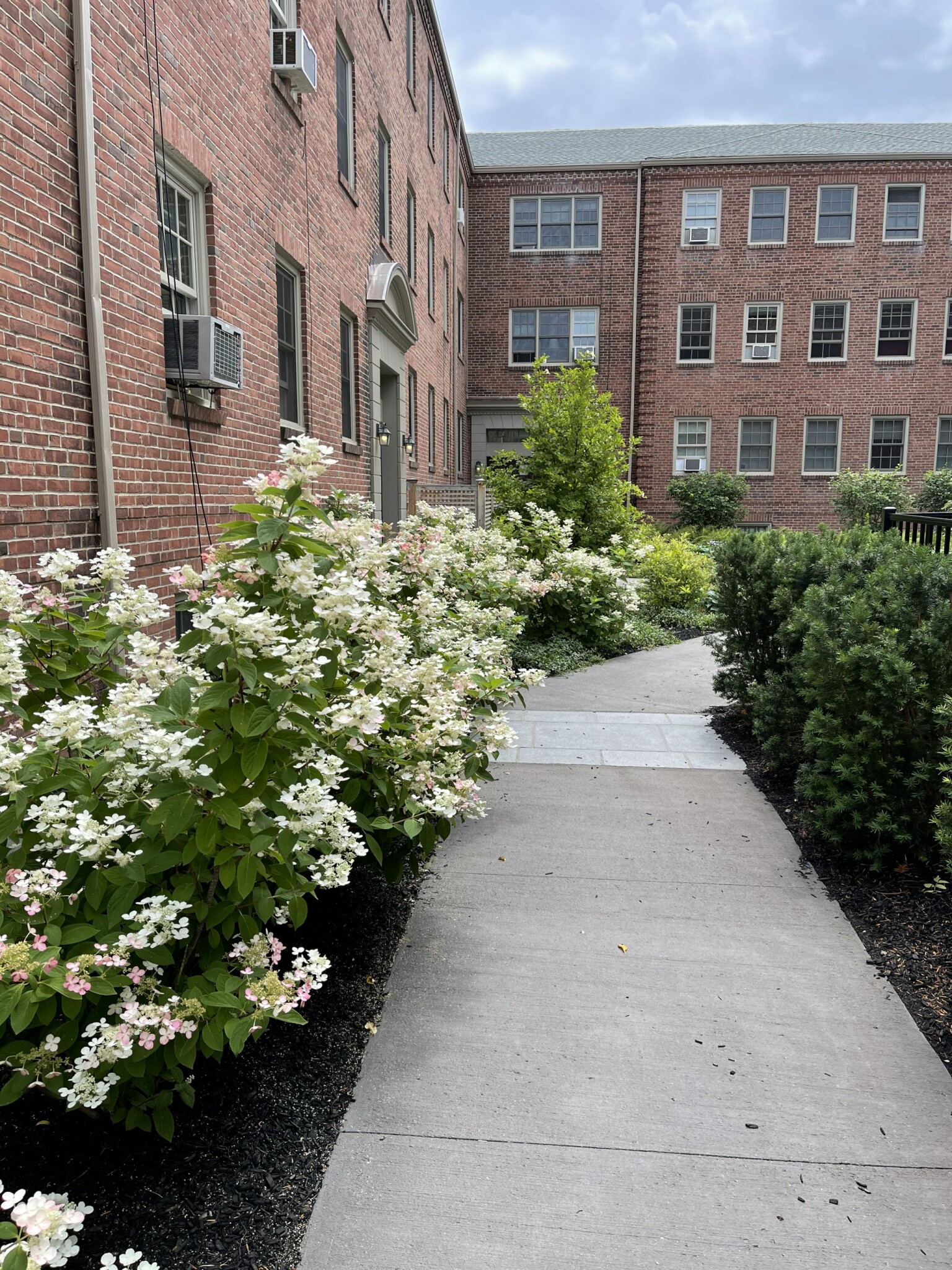 2 bed, 1 bath apartment for rent at 312 Washington St Unit 2-4, Wellesley — photo 18 of 19