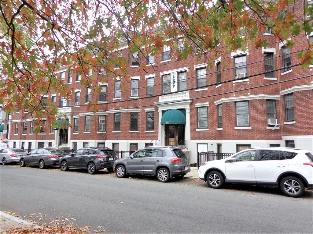 Studio bed, 1 bath apartment for rent at 313 Allston St Unit 2, Brighton — photo 12 of 12