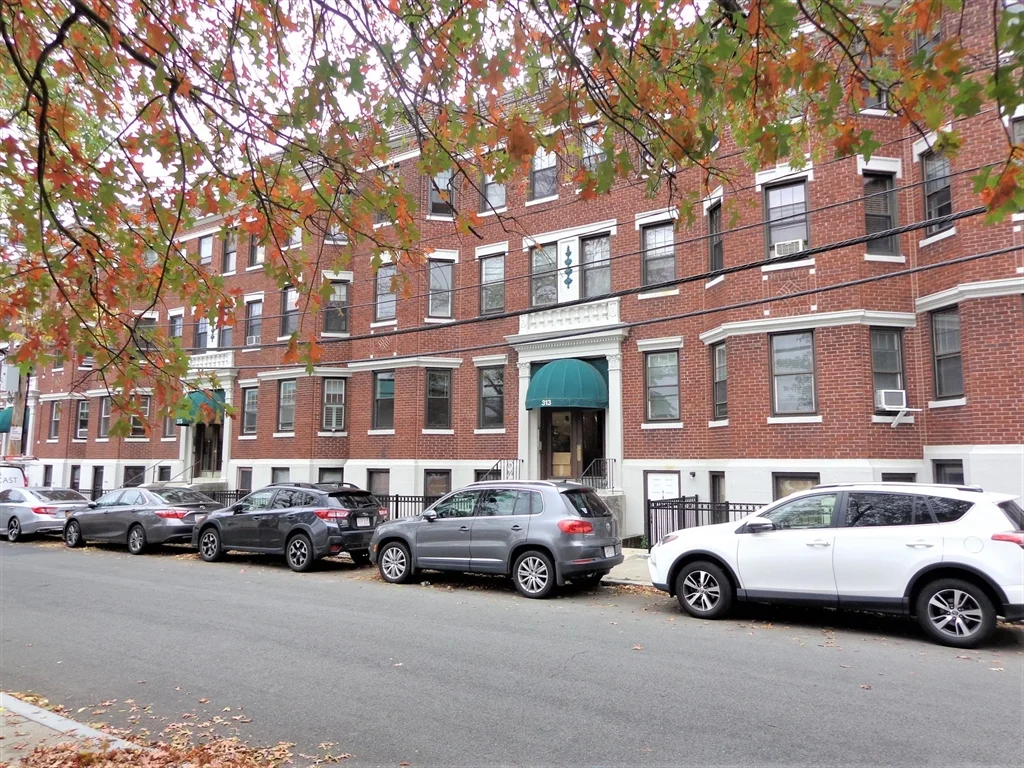 Studio bed, 1 bath apartment for rent at 313 Allston St Unit 2, Brighton — photo 10 of 12