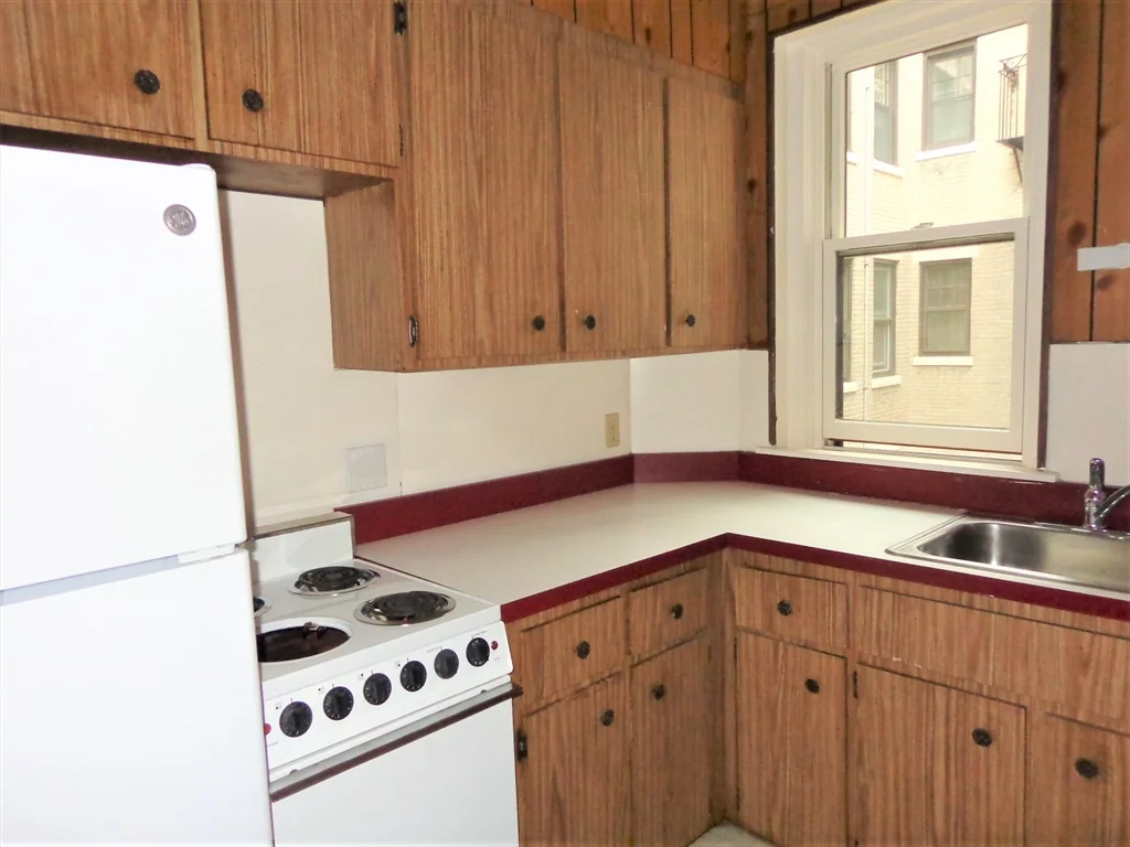 Studio bed, 1 bath apartment for rent at 313 Allston St Unit 2, Brighton — photo 6 of 12