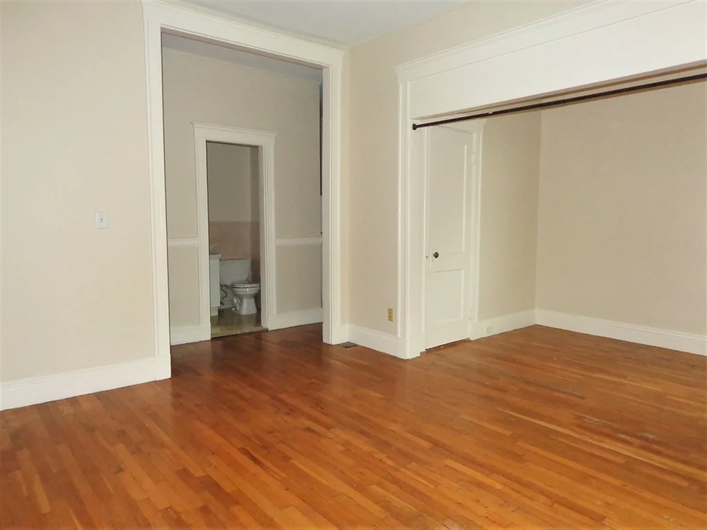 Studio bed, 1 bath apartment for rent at 313 Allston St Unit 2, Brighton — photo 5 of 12
